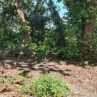 For sale commercial lot in Tagum City and Davao de Oro Philippin