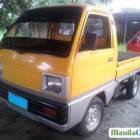 Suzuki Manual 2013