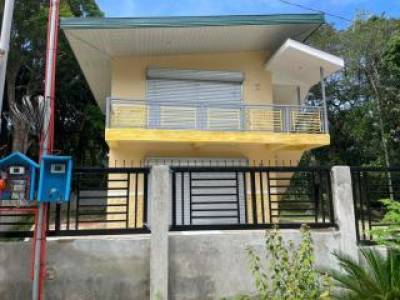 HOUSE AND LOT FOR SALE ALONG THE NATIONAL HIGHWAY SIQ00196, Siquijor